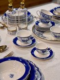 ست پذیرایی blue life