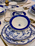 ست پذیرایی blue life