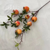 شاخه های پینترسی 🍋🍊🍎