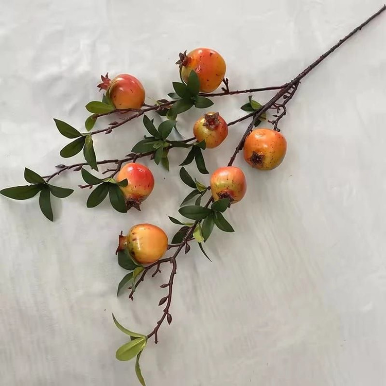 شاخه های پینترسی 🍋🍊🍎