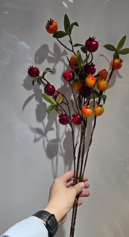 شاخه های پینترسی 🍋🍊🍎