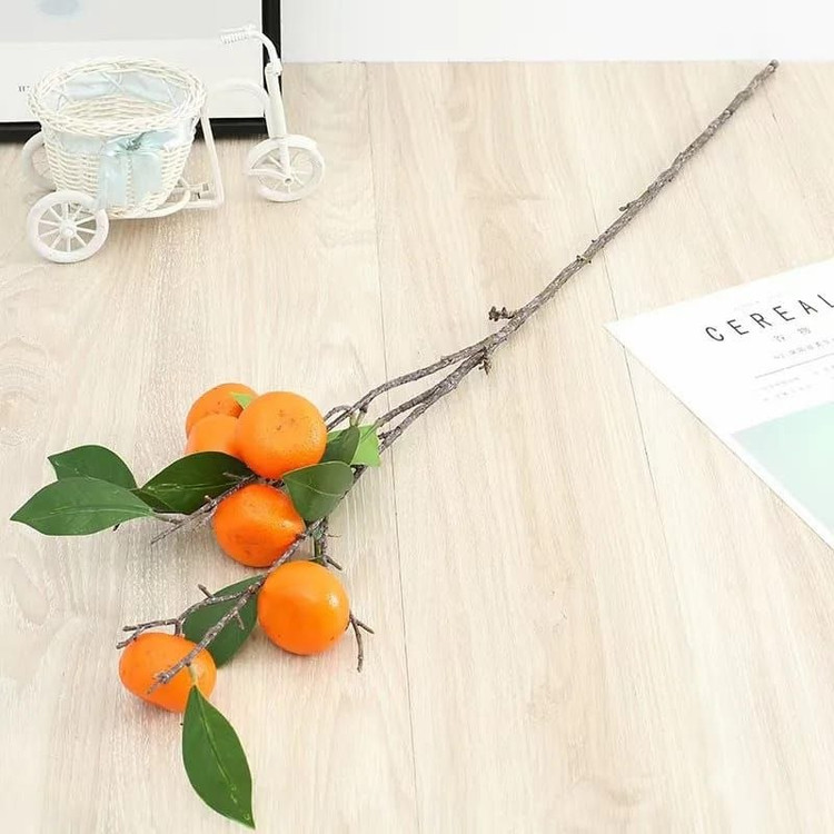 شاخه های پینترسی 🍋🍊🍎