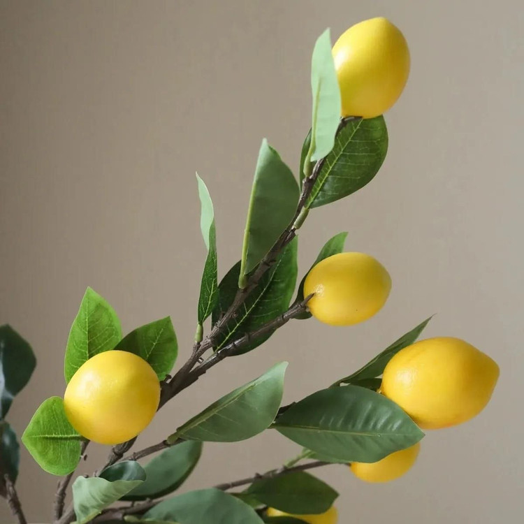 شاخه های پینترسی 🍋🍊🍎