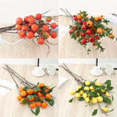 شاخه های پینترسی 🍋🍊🍎