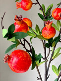 شاخه های پینترسی 🍋🍊🍎