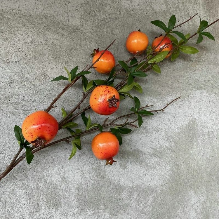 شاخه های پینترسی 🍋🍊🍎