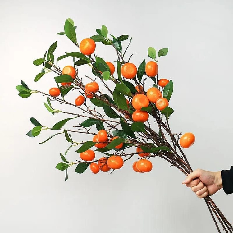 شاخه های پینترسی 🍋🍊🍎