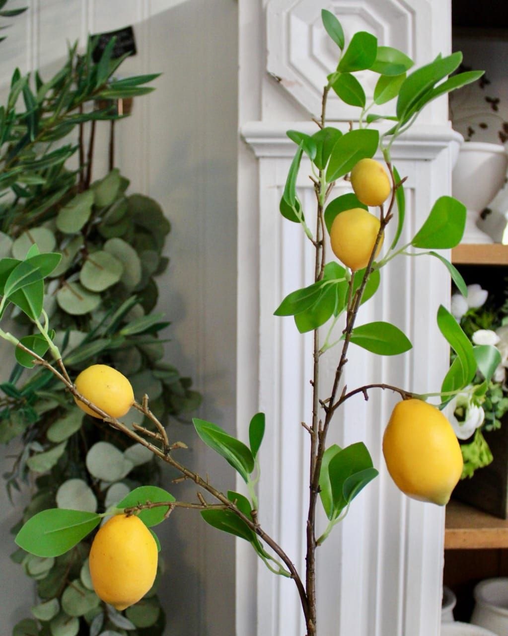 شاخه های پینترسی 🍋🍊🍎