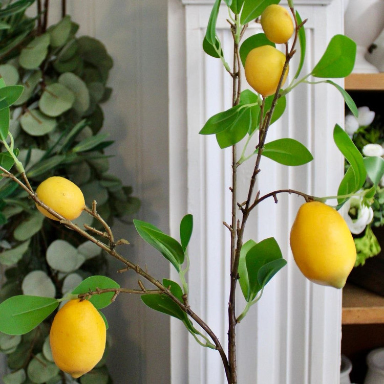شاخه های پینترسی 🍋🍊🍎
